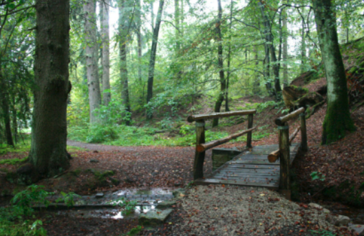 Entspannte Auszeit in Bad Sachsa: Sehenswürdigkeiten, Wellness & Ausflüge